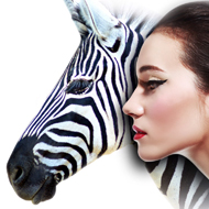 ラッシュアディクト