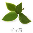 チャ葉
