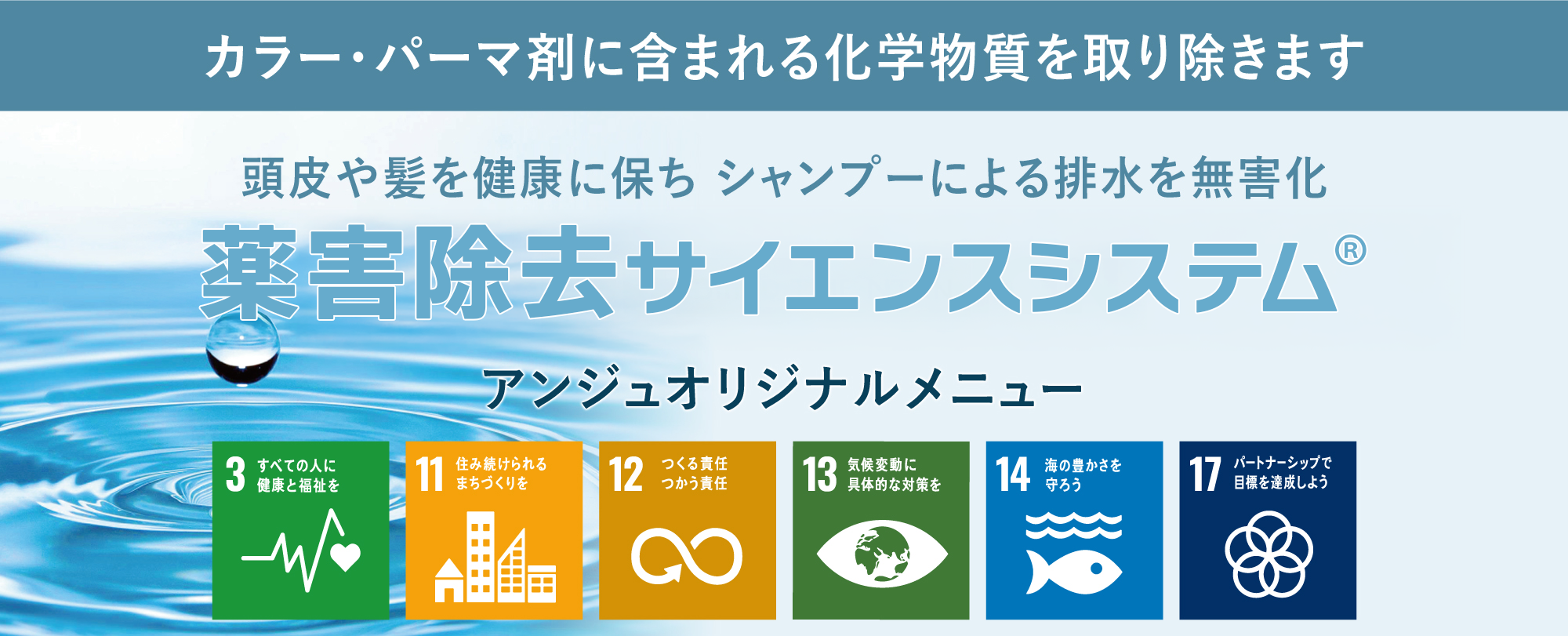 約外除去サイエンスシステム
